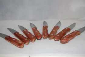 2480A2150 WOOD Serrated Steak Knife Set Stainles Handles
