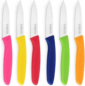 744110089585 TARGZIER Paring Knife Fruit Set Steel Knives