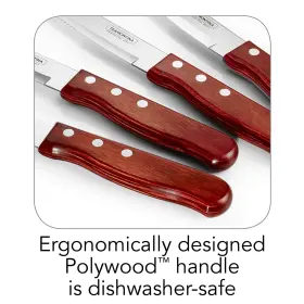 016017165007 TRAMONTINA Porterhouse Steel Steak Knife Set Tip #3