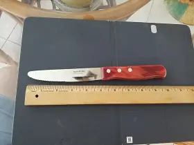 891112003750 TRAMONTINA Meat Kitchen Knife Hc Steel Blade