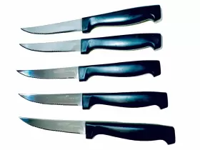 302092 TRISTAR Serrated Steel Stays Sharp Steak Knives #2
