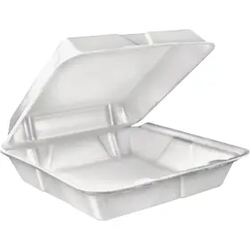 445048298256 TRUCKLOAD Lg Foam Hinged Container