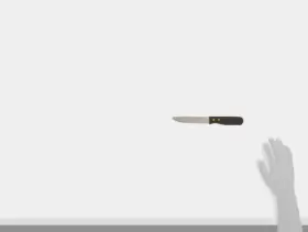 811642016966 WINCO Round End Steak Knife Handle #2