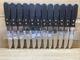 K-85P WINCO Steak Knife Set