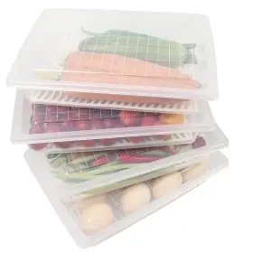 B08CX6VW68 YIAUTAO Food Storage Containers Drain Plate Fridge