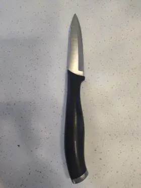 19100-070 ZWILLING J.A. HENCKELS International Mikado Cap #3