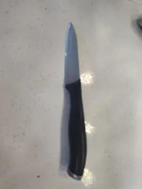19100-070 ZWILLING J.A. HENCKELS International Mikado Cap