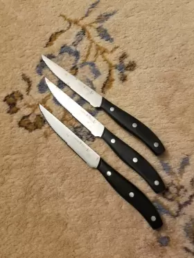 19479-120 ZWILLING J.A. HENCKELS International Steak Knives