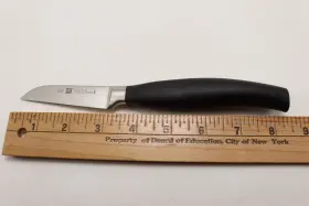 30040-090 ZWILLING J.A. HENCKELS Paring Knife Friodur #3