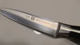 30340-100 ZWILLING J.A. HENCKELS Twin Cuisine Paring Knife #2