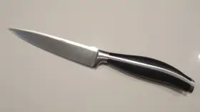 30340-160 ZWILLING J.A. HENCKELS Twin Cuisine Carving Knife