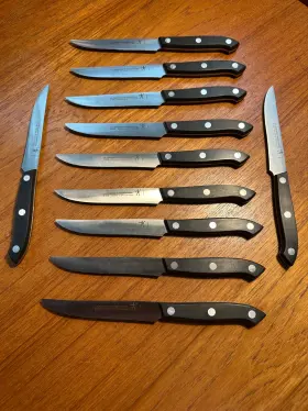 31328-120 ZWILLING J.A. HENCKELS International Serrated Steak