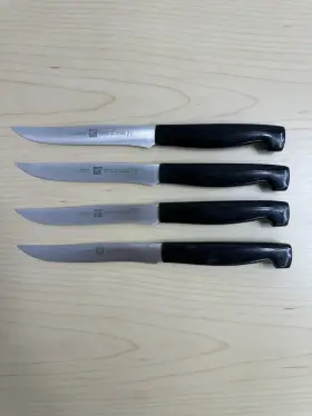 39131-130 ZWILLING J.A. HENCKELS Fridour Hardened Stain Steak