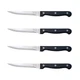 Chicago Cutlery Essentials 4-Pc Steak Set 4pc Set, Black