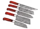 Damascus Chef Set Kitchen Knives Custom Made - Hand Forged Damascus Steel m-134