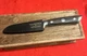 Dalstrong GLADIATOR Series 4 Inch PairingKnife, High Carbon GERMAN Steel