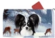 Papillon Winter Wonderland Mail Box Cover