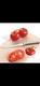 Rada Tomato Slicer Knife 5" Dual Serrated blade USA made cutlery L/R hands W226