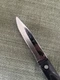 CUTCO #1720 Paring Straight Edge Full Tang Knife 3" Blade Ergonomic Handle USA