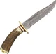 Damascus El Dorado Skinner Fixed Blade Stag Handle Knife