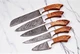 CUSTOM HAND MADE FORGED DAMASCUS STEEL CHEF KNIFE SET KITCHEN KNIVES 1578