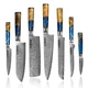 Seido Knives Executive Damascus Steel Knife Set, 7-Piece Versatile Cutting