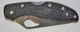 SPYDERCO Byrd Meadowlark 2 Folding Satin Combo Blade Black Handles #47