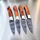 CUSTOM HAND MADE FORGED DAMASCUS STEEL CHEF STEAK KNIFE SET KITCHEN KNIVES 2719