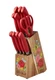 Pioneer Woman ~ 11-Pc. Stainless Steel Knives ACACIA Wood Block Set ~ SWEET ROSE