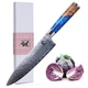 SAMCOOK Damascus Chef Knife - 8 Inch Professional Sharp Gyuto Knife - Japanes...