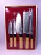 Japanese Kitchen Chef's Knife 5pcs Set Sushi Yanagiba Sashimi Nakiri from JAPAN