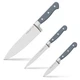 Chicago Cutlery Halsted 3-Piece Cutlery Set Wooden Block Ergonomic Handles Sharp