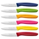 Paring Knife Fruit Knife Set (6 Pieces), Ultra Sharp Stainless Steel Vegetabl...