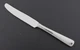 Reed & Barton 18/10 Stainless - SILVER ECHO - Dinner Knife 9-1/2"