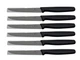 Victorinox Set of 6 Steak Knives Serrated Edge 4.5in Blade 5.1233.20 MSRP $80