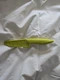 Kai Pure Komachi 2 Chef's Knife (B)