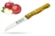 - Paring Knife Olive Wood Handle Fruit Knife Solingen Knife - Made in Germany...