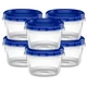 ELEGANT DISPOSABLES Twist Top Deli Food Storage Containers Blue Screw Lid - 20 P