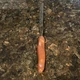 Cutco Cake Icing Spatula Spreader Knife No. 28 Brown Handle, 12&rdquo;