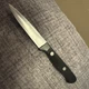 Wusthof Gourmet Pairing Knife 4022 8cm