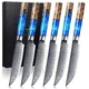 SENKEN Damascus Steak Knife Set - Tsunami Collection - 67-Layer Japanese VG10...