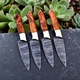 CUSTOM HAND MADE FORGED DAMASCUS STEEL CHEF STEAK KNIFE SET KITCHEN KNIVES 2719