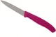 Victorinox 3.25 Inch Paring Knife with Straight Edge, Spear Point 6.7606.L115