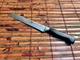 ZWILLING J.A. HENCKELS FRIODUR ICE HARDENED 8" SERRATED BREAD KNIFE 31076-200