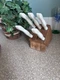 Cutco Steak Knife Set 5 White Composite Handles Serrated Stainless Steel 1759