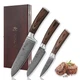 Wakoli Genuine Damascus VG10 3 Piece Kitchen Knife Set Model 3DM-HOL-EDB