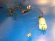 motor  Rapala 12v marine boat  Electric fish fishing Fillet Knife parts 