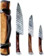Breliser 3-Piece Knives Set Kitchen Damascus Chef Santoku Pairing Knife Rosewood