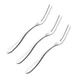 Luxshiny 3 Pcs Stainless Steel 2-Prong Fruit Forks 16.50X1.00X0.40CM, Silver 