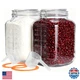 PUSCRIENO 2 Pack 1.1 Gallon Square Super Wide Mouth Airtight Glass Storage Jars